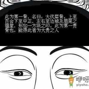 骨相图解：伏犀骨