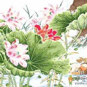 十字绣怎么绣？十字绣的绣法