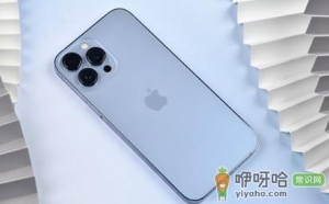 iPhone14 Plus拍照怎么样