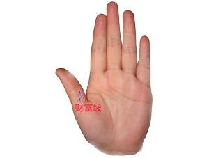 财富线图解：手相学之财富线算命图解