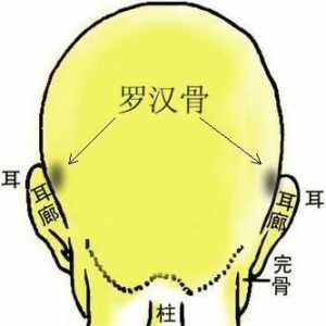骨相图解：罗汉骨