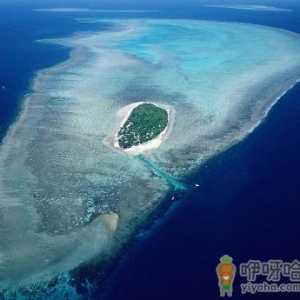 东海岸温带和亚热带森林区介绍