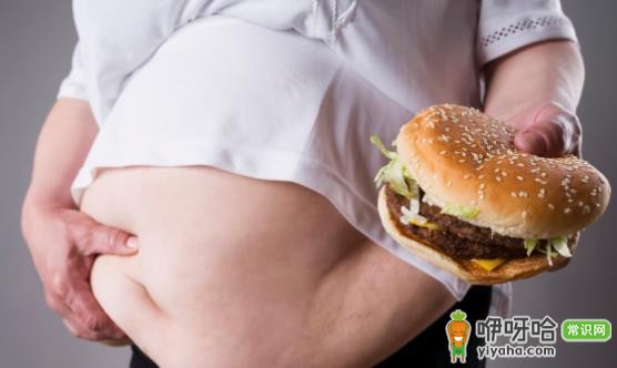 到底多重才算是胖人 科学判断是否肥胖的方法推荐