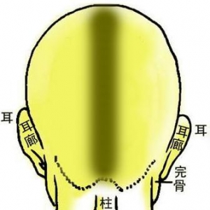 骨相图解：炁悬针骨