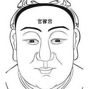 面相算命图解：面相十二宫图之官禄宫