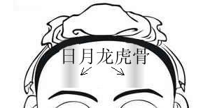 骨相图解：日月龙虎骨
