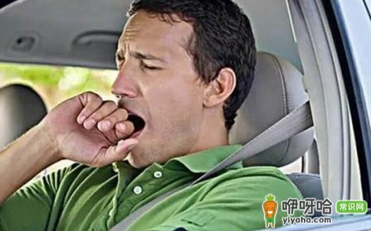保健专家支招 避免驾车疲劳的方法