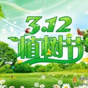 植树节是几月几日？植树节的由来和意义