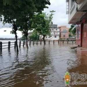 2022上海汛期什么时候结束