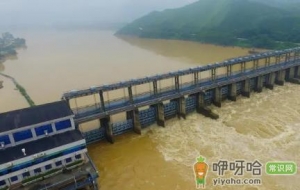 上海主汛期什么时候下雨最多2022