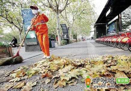 10月26日是什么节日？环卫工人节是几月几日