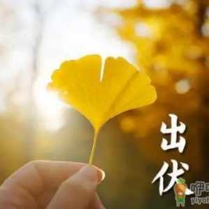 2022出伏是几月几号几点几分