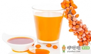 沙棘原浆一天50ml多吗