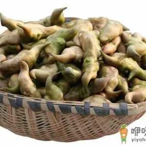 菱角生吃有寄生虫吗