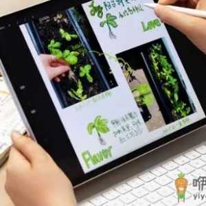 教育优惠返校季买AIR5还是买二手的pro