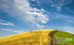 2022处暑过后有露水吗