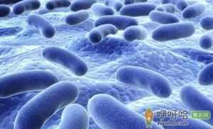 宝宝吃益生菌有什么效果
