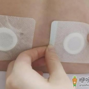 三伏贴一次可以贴几个部位