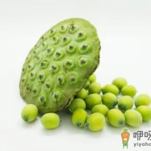 新鲜莲子可以放冰箱保鲜吗