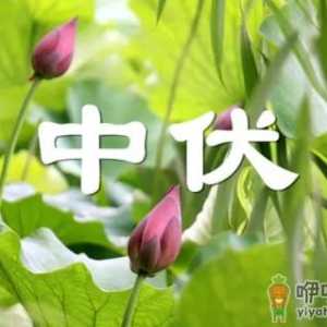 2022中伏过了就凉快了吗