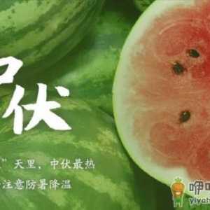 2022中伏过后会降温吗