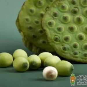 新鲜莲子生吃好还是煮熟吃好
