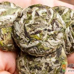 十年以上的白毫银针还能喝吗