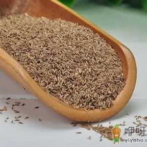 草籽不盖土能发芽吗