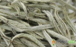 十年以上的白毫银针会呈现出什么香