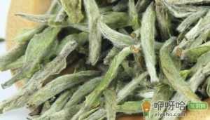 云南的白毫银针算白茶吗