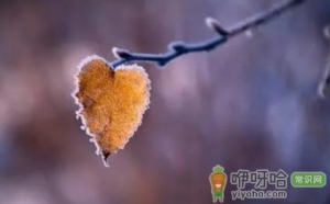 2022霜降过后几点天亮