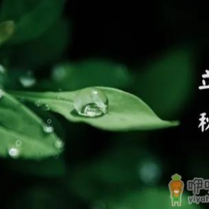 2022年立秋可以同房吗