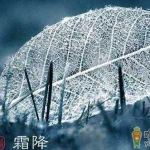 2022年霜降是几月几号