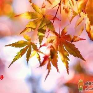 2022广东立秋后晚上会凉快吗
