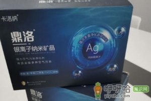 鼎洛银离子能除甲醛么