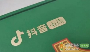 抖音充值的抖币能买东西吗