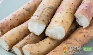 千年淮山值钱吗