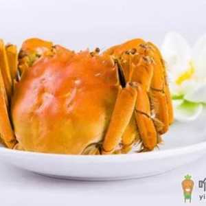 8月份吃大闸蟹还是梭子蟹