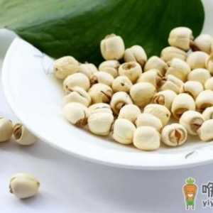 新鲜莲子和干莲子的功效一样吗