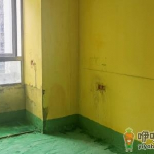 墙固和界面剂哪个效果好