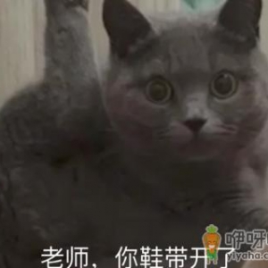 老师你鞋带开了什么梗