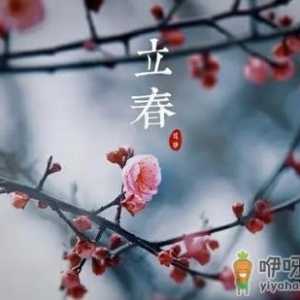 2023年是春打五九尾还是六九头