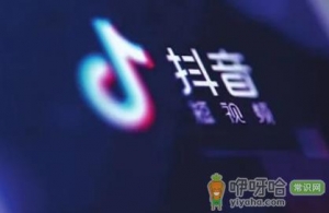 抖音极速版夏日游乐场第五关好不好完成