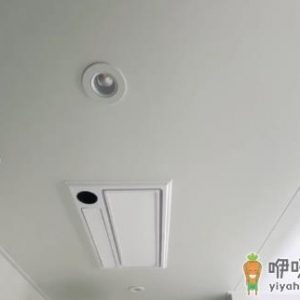 卫生间吊顶上老鼠会跑出来吗