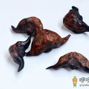 菱角为什么不能和蜂蜜一起吃