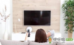2022年8月上映的电视剧有哪些