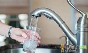 水费900多是不是太夸张了