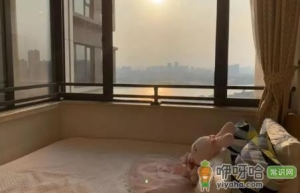西晒的房子和东晒的房子哪个好