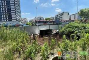 2022年9月份去南京需要核酸检测吗