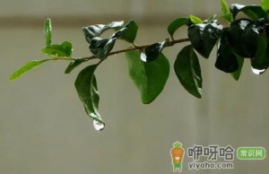 2022高中军训下雨会停止军训吗